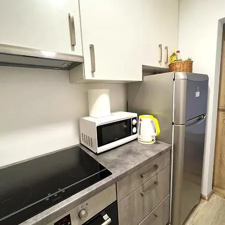 Cozy, Spacious In A Three-room In The Very Center Of Penzion *